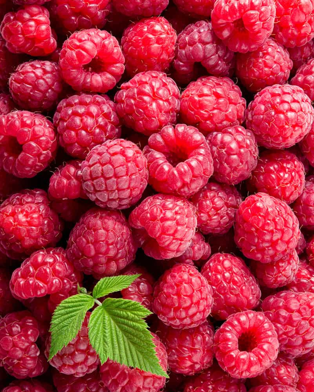 Raspberries & Prosecco Jam